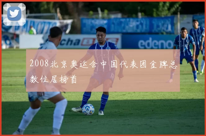 2008北京奥运会中国代表团金牌总数位居榜首