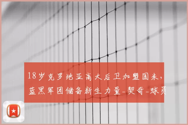 18岁克罗地亚高大后卫加盟国米，蓝黑军团储备新生力量_契奇_球员_哈伊杜克