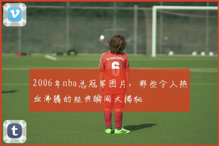 2006年nba总冠军图片，那些令人热血沸腾的经典瞬间大揭秘