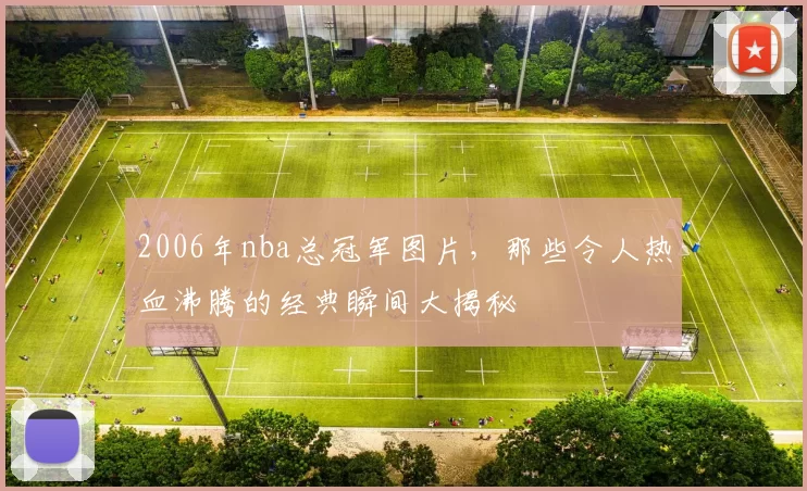 2006年nba总冠军图片，那些令人热血沸腾的经典瞬间大揭秘